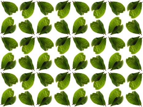 Leaf pattern background photo