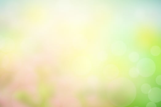 Blur circle bokeh green leaf background. Blurry yellow leaves ra photo