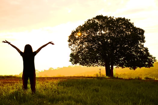 The woman put her hand up in the meadow face to the sunrise photo