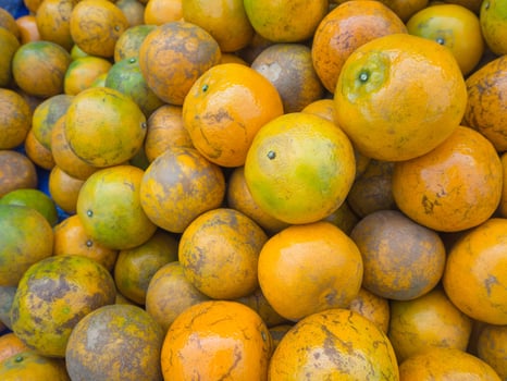Pile of tangerines for sale in the market photo