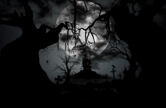 Halloween night background with moon, spider, castle, gravestone and old tree. photo