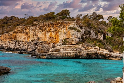 Scenic view of sea and trees on rocky cliffs against cloudy sky during sunset photo
