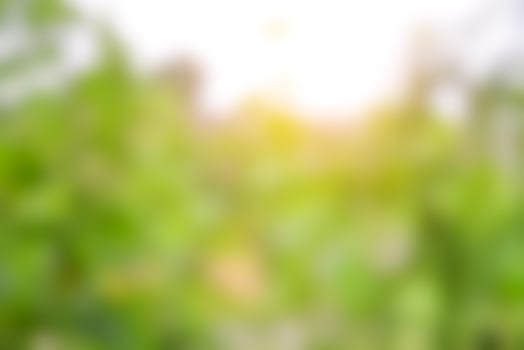 Abstract nature background photo
