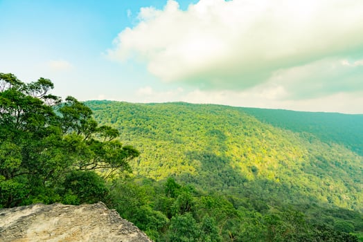 Beautiful view of tropical rainforest at Pha Diao Dai cliffs of Khao Yai national park in Thailand. World heritage. Green dense tall trees on the mountain and blue sky and cumulus clouds. photo
