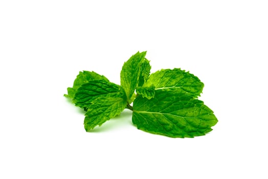 Kitchen mint leaf isolated on white background. Green peppermint natural source of menthol oil. Thai herb for food garnish. Herb for anti-flatulence and make confident fresh breath. photo