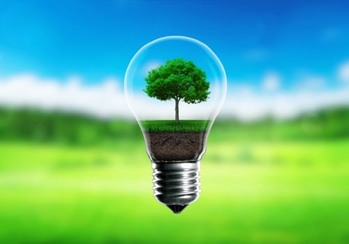 Green seedlings in a light bulb alternative energy concept, green blurred background. photo