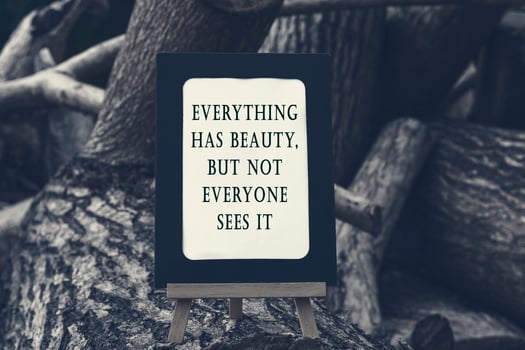 Motivational and inspirational quote on a chalkboard isolated on tree trunk. photo