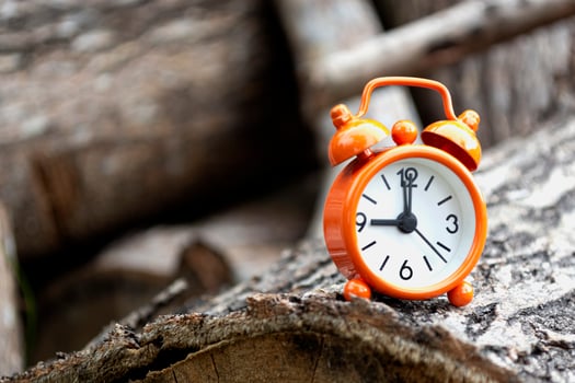Orange alarm clock isolated on tree trunk. The clock set at 9 o'clock. photo
