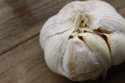 photo of garlic for your design needs