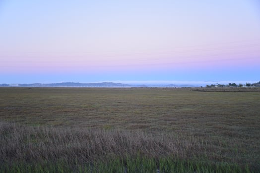 Purple Pink Sky San Francisco Bay Marshlands photo