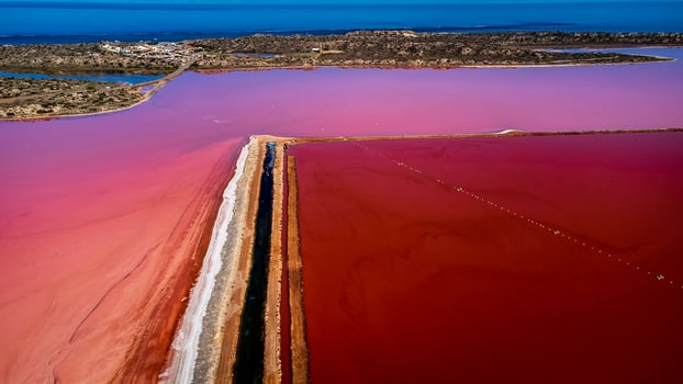 Aerial Views Of Hutt Lagoon WA photo