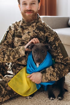 Ukrainian soldier hugging and wrapping his faithful friend's Ukrainian flag around an Amstaff dog in the office photo