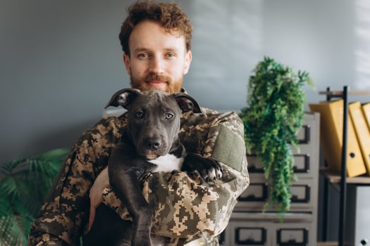 Portrait of a Ukrainian soldier and his faithful friend the Amstaff dog at the office photo