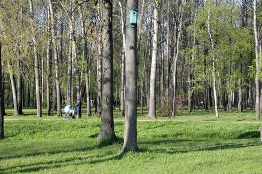park in the city, rest in the urban environment walk photo