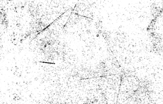 grunge texture. Dust and Scratched Textured Backgrounds. Dust Overlay Distress Grain ,Simply Place illustration over any Object to Create grungy Effect. photo