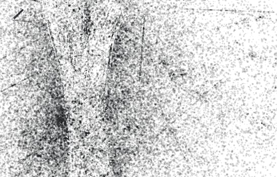 grunge texture for background.dark white background with unique texture.Abstract grainy background, old painted wall photo