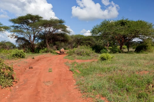 Red ground road, bush with savanna. Tsavo West, Kenya, Africa photo