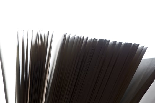 Open book, pages fluttering. Black and white photo