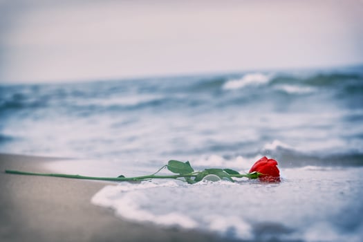 Waves washing away a red rose from the beach. Vintage. Love photo