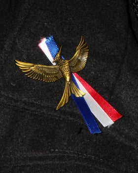 LOS ANGELES, NOV 16  Mockingjay emblem, with French flag colors in honor of ISIS victims at the The Hunger Games -Mockingjay Part 2 LA Premiere on November 16, 2015 in Los Angeles, CA photo