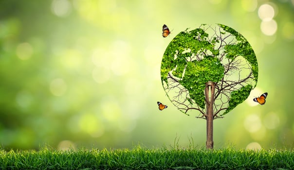 A tree with leaves of the world map, concept, environment, save the world photo