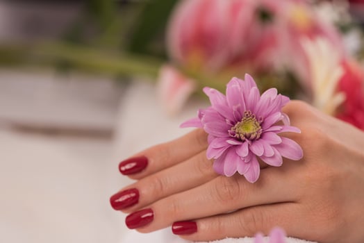 woman fingers with french manicure photo