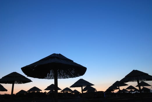 sunshine on beach with beach umbrellas silhouette photo