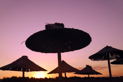 sunshine on beach with beach umbrellas silhouette photo