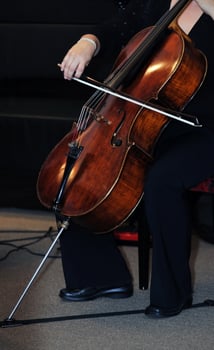 classical music bass instrument player photo