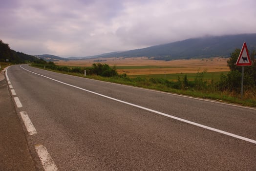 road through the green field photo