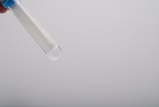 test-tube in woman hand photo