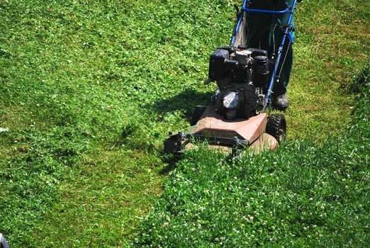 green grass view photo