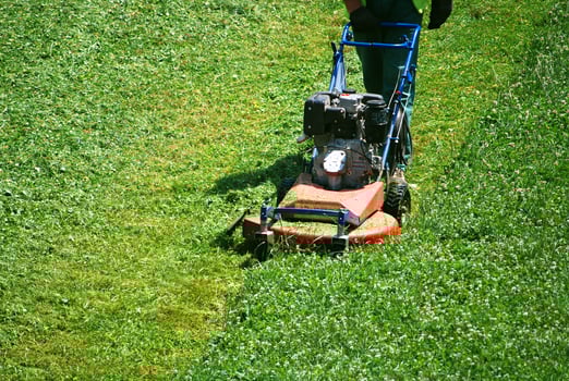 green grass view photo