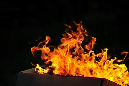 wild fire view photo