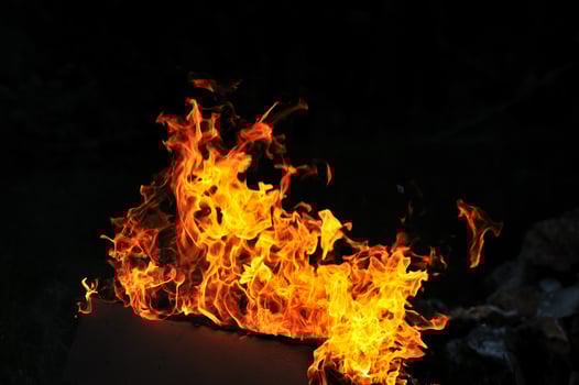 wild fire view photo