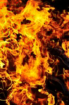 wild fire view photo