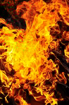 wild fire view photo