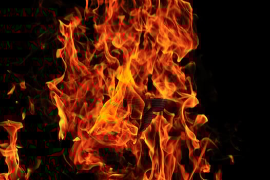wild fire view photo
