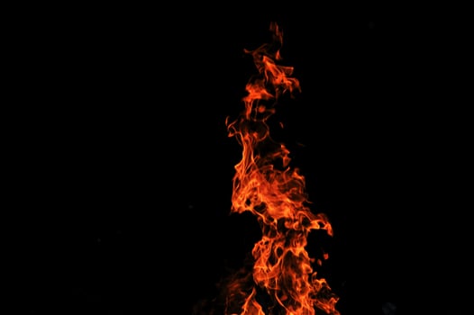 wild fire view photo
