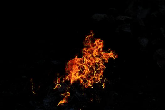wild fire view photo