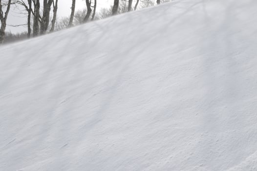 Winter landscape view photo