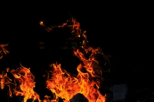 wild fire view photo