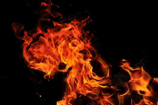 wild fire view photo