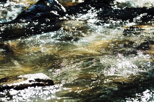 Fresh water view photo