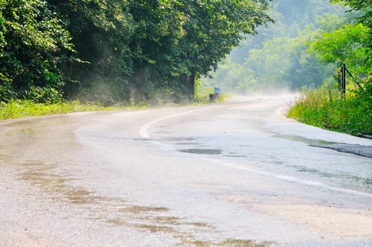 country side road in green forest photo