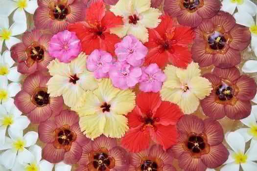 water cup with beautiful flowers background photo