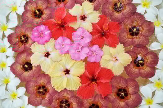 water cup with beautiful flowers background photo