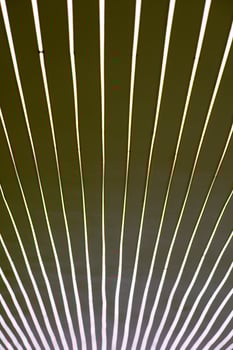 close up of led lights tape photo