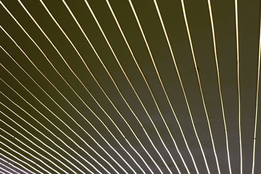 close up of led lights tape photo
