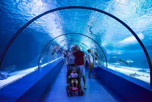 happy family  in the underwater aquarium photo